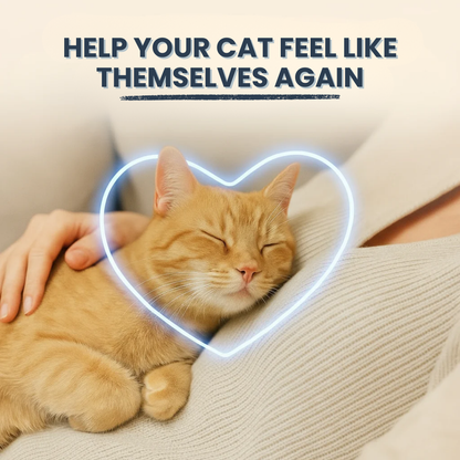 Primalis™ Taurine Supplement