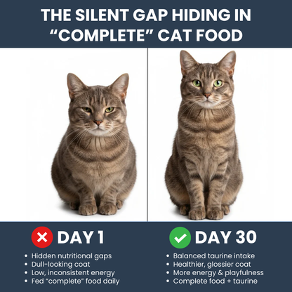 Primalis™ Taurine Supplement